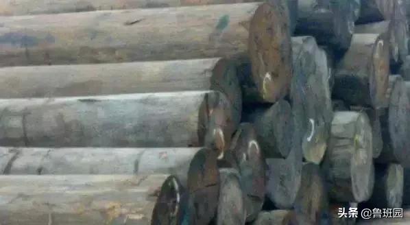 木材受潮腐烂修复,防止木材开裂的最好方法