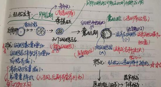 高考730分学霸教育心得,高考如何将总分考到700分以上