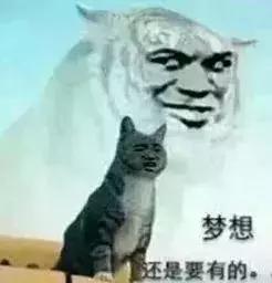 中山二手房成交价查询系统,中山坦洲金筑美居二手房价