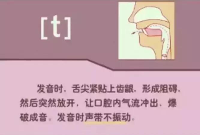 音标发音48个正确发音口型,小学英语音标发音48个口型