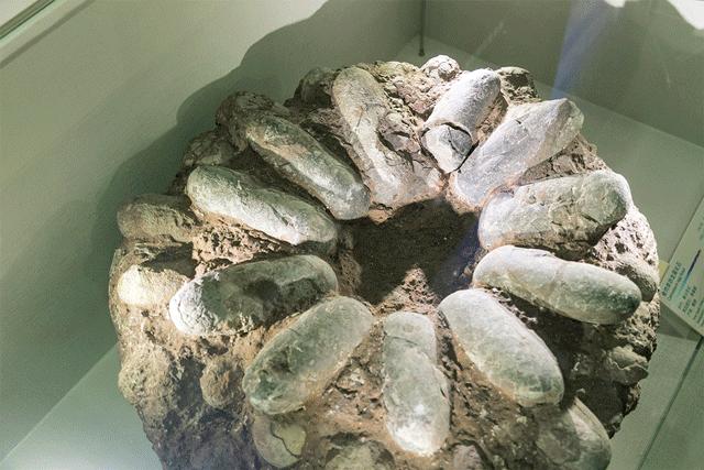 深圳免费十大打卡景点攻略,深圳凤凰城地铁站网红打卡