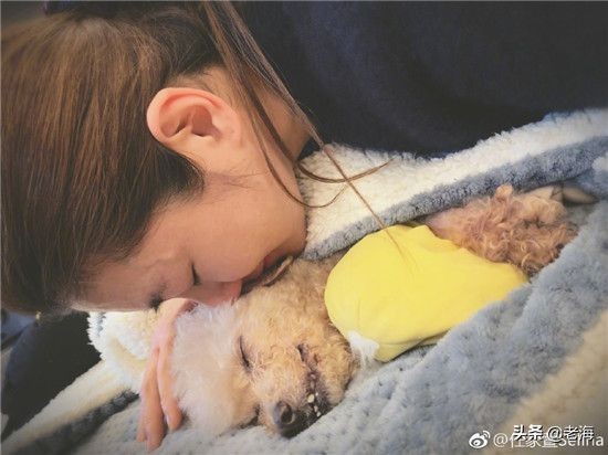 27岁张轩睿是38岁任家萱生命中的那个人？姐弟恋为啥依然不靠谱？