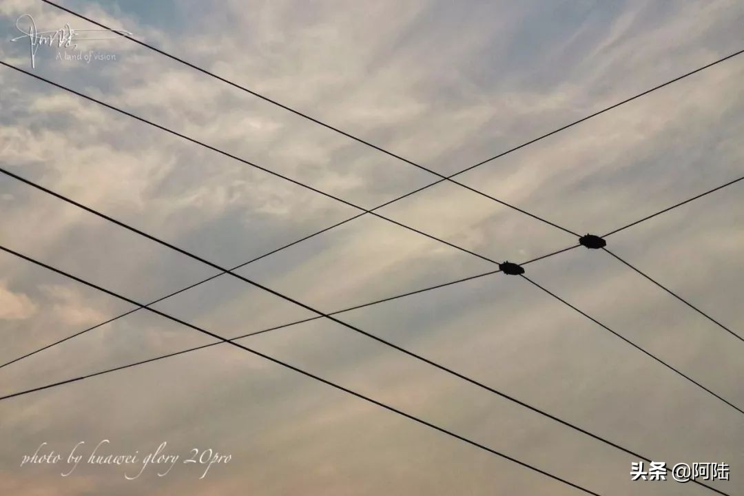 杭州还有带辫子的电车吗,杭州街上电线