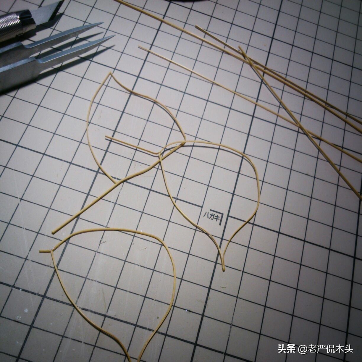 昆虫标本树脂竹节虫,昆虫标本制作竹节虫