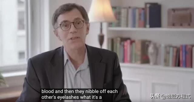 客户难以拒绝的视频创意:15个案例教你用纪录片的方式讲营销故事