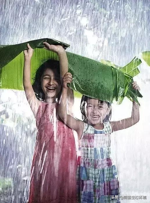 世界最震撼的微笑日,世界微笑日请带着微笑前行