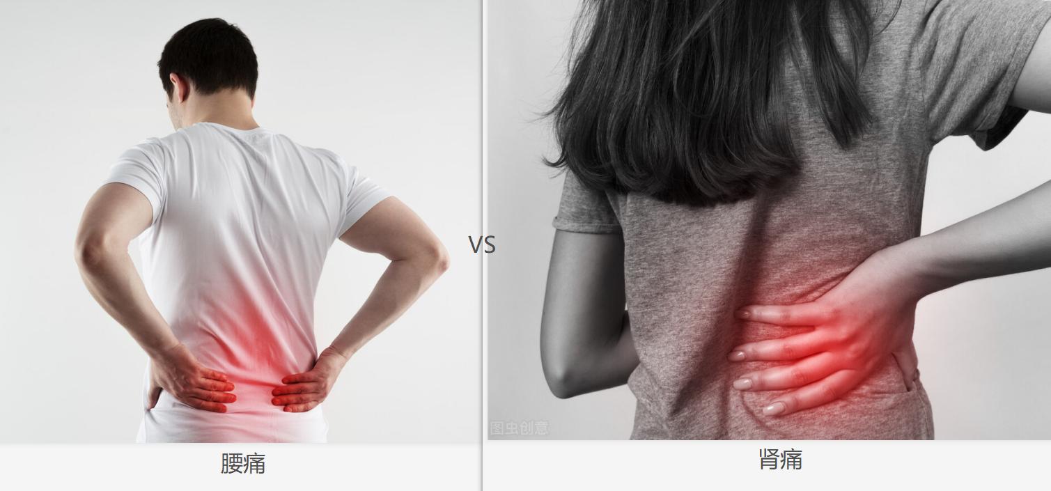腰痛和肾痛有什么区别,腰痛区分阴虚阳虚