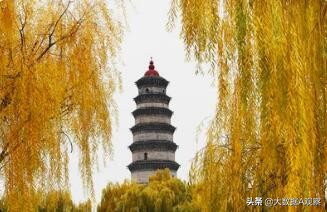 山东本土房地产100强名单,山东有哪些本土房地产开发企业