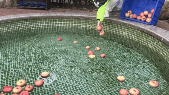 太白山凤凰温泉大巴,凤凰温泉旅游大巴