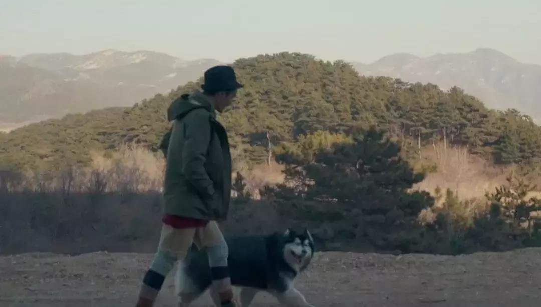 朴树借给谁钱,朴树年轻的时候有多疯