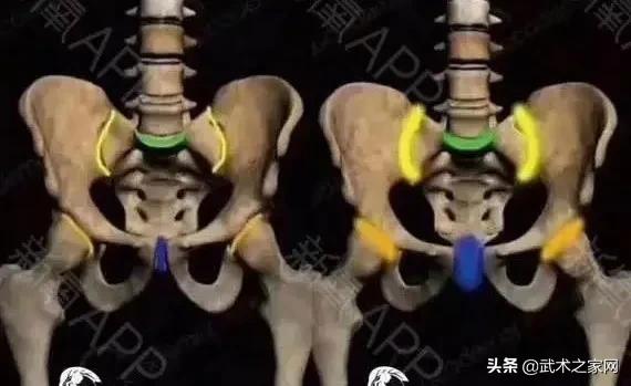 太极养生秘籍,太极基本功改善骨盆前倾