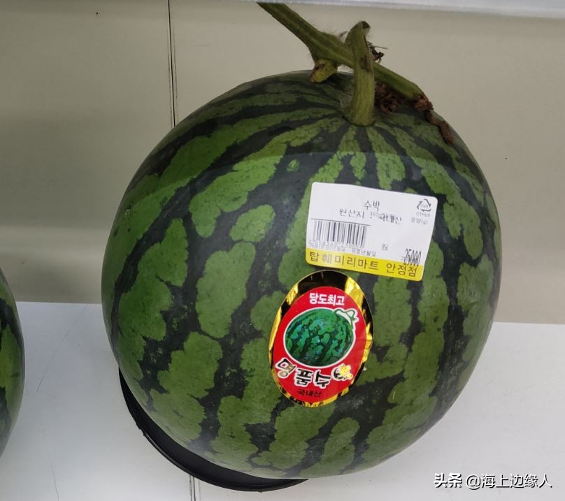 旅行日记:船员韩国下地购物,终于踏上陆地,心情无比激动