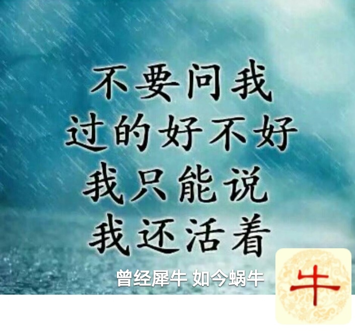 别问我过得好不好只能说还活着,别问我好不好我只能说我还活着