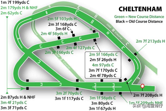 参加英格兰切尔滕纳姆赛马节,世界赛马长跑比赛视频