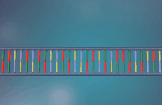 新型冠状病毒pcr检测操作规程,冠状病毒核酸检测pcr试剂
