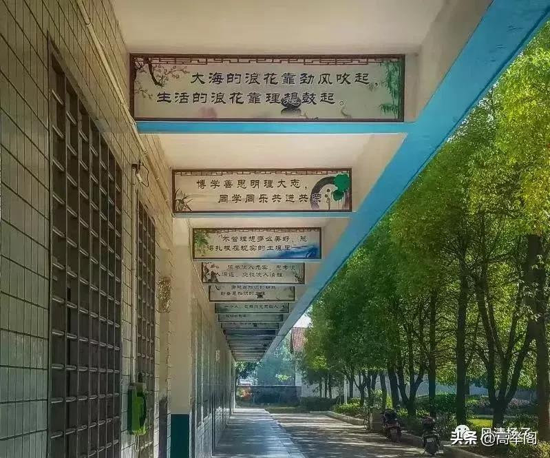 系列散文——李淑孟:我们的学校是花园(之二十)