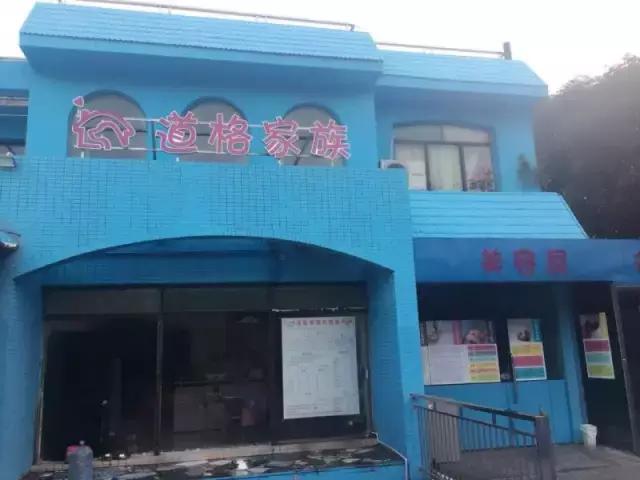 什么地方适合带猫狗玩耍,北京铲屎官可以带狗玩的地方