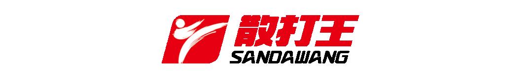 搏击世界冠军踢馆,搏击五大踢馆惨痛经历