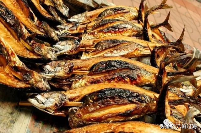 鲭鱼｜虽生犹死的那种境界……