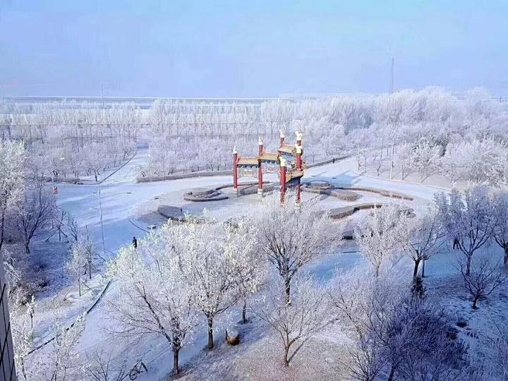 沈阳化工大学辽宁省排名,沈阳化工大学2020招生计划辽宁省