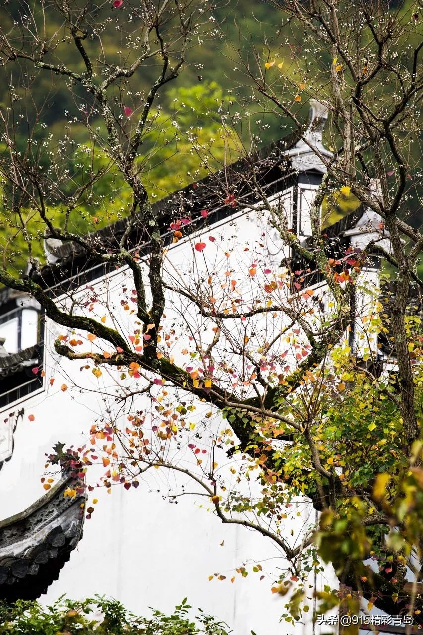 安徽很低调的一个省,安徽被严重低估的景点