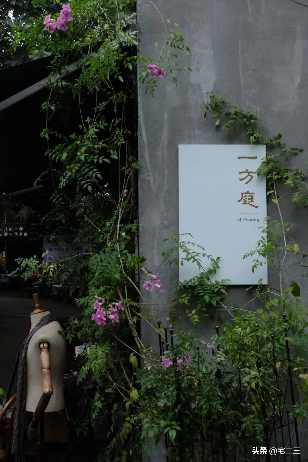 景德镇年轻人外出打工的多吗,景德镇为何成为年轻人的治愈地