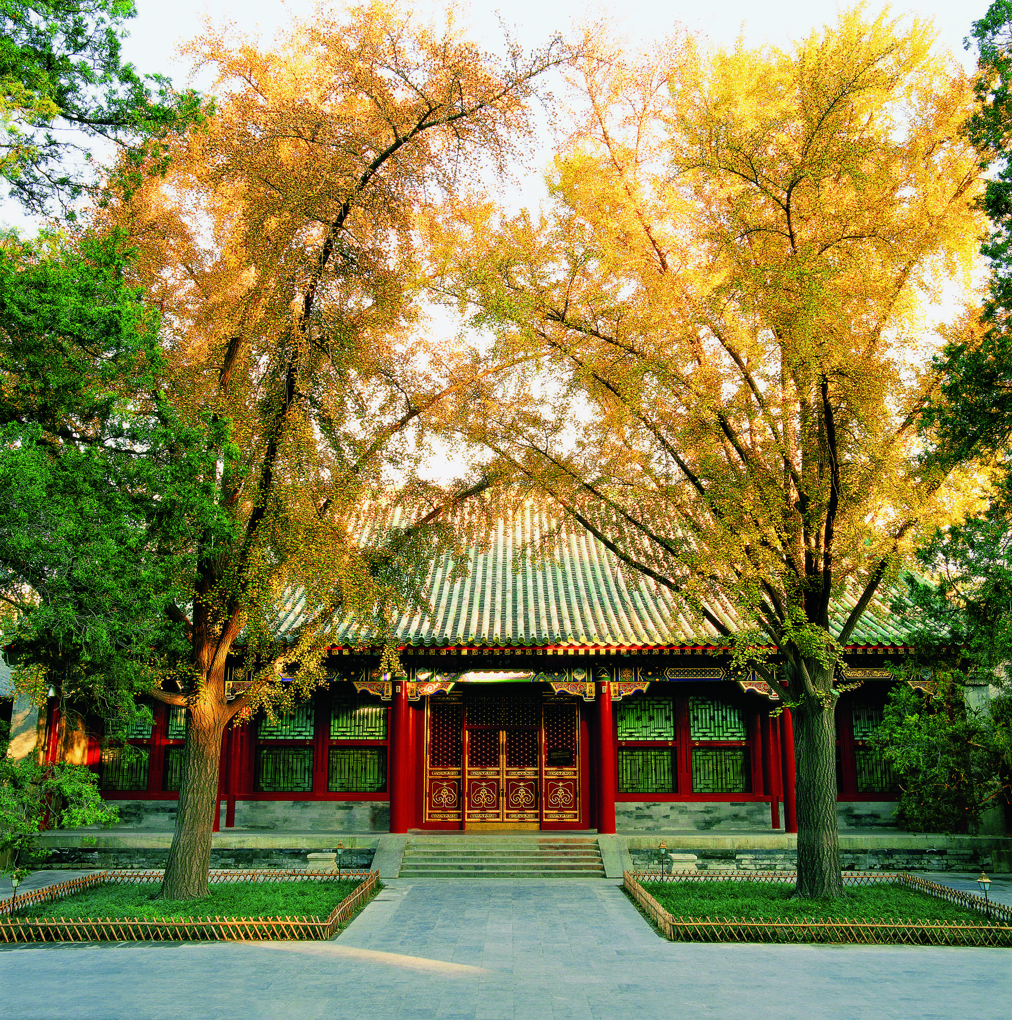 恭王府五一当天可以买票吗 (去恭王府能在景点直接买票么)