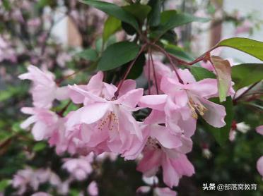 ps800*800像素拖图片进去很模糊,ps如何把不清晰的照片变清晰