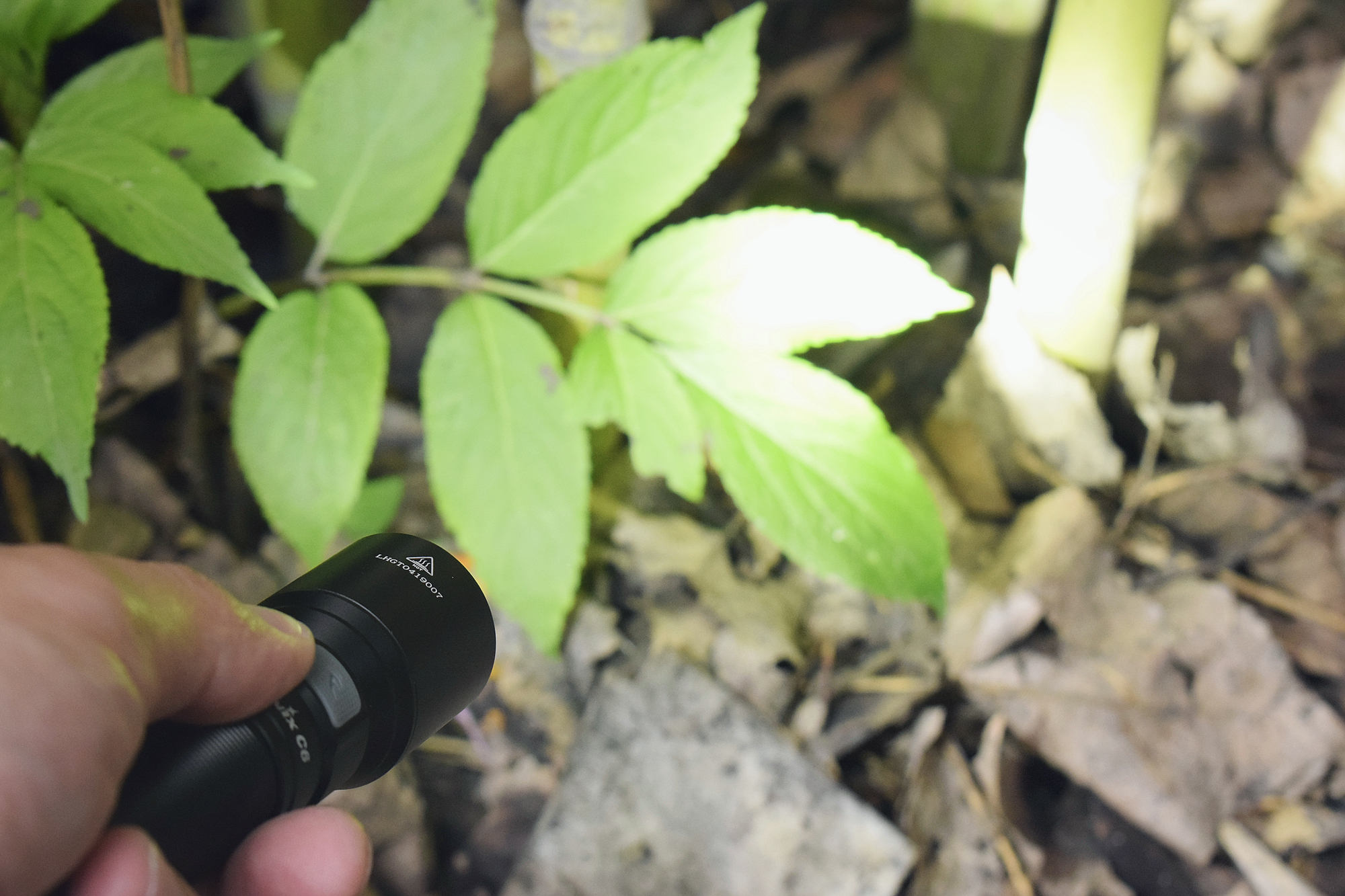 全面升级进化之作!Fenix菲尼克斯C60V3.0手电赏评