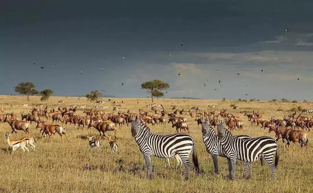 鄂尔多斯的变化,鄂尔多斯的惊人改变