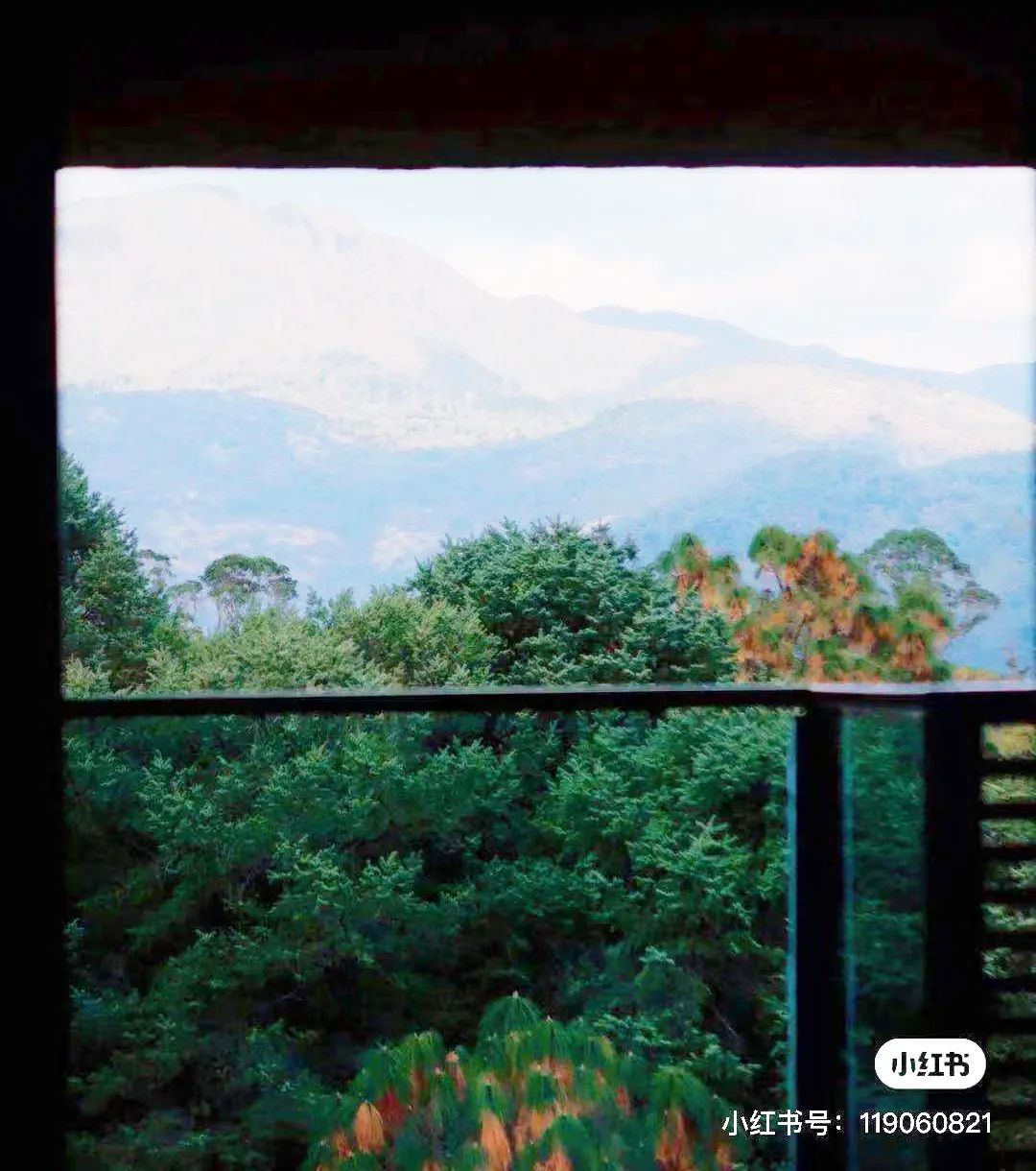 昆明避暑冷惨了外省人,昆明过冬真实感受