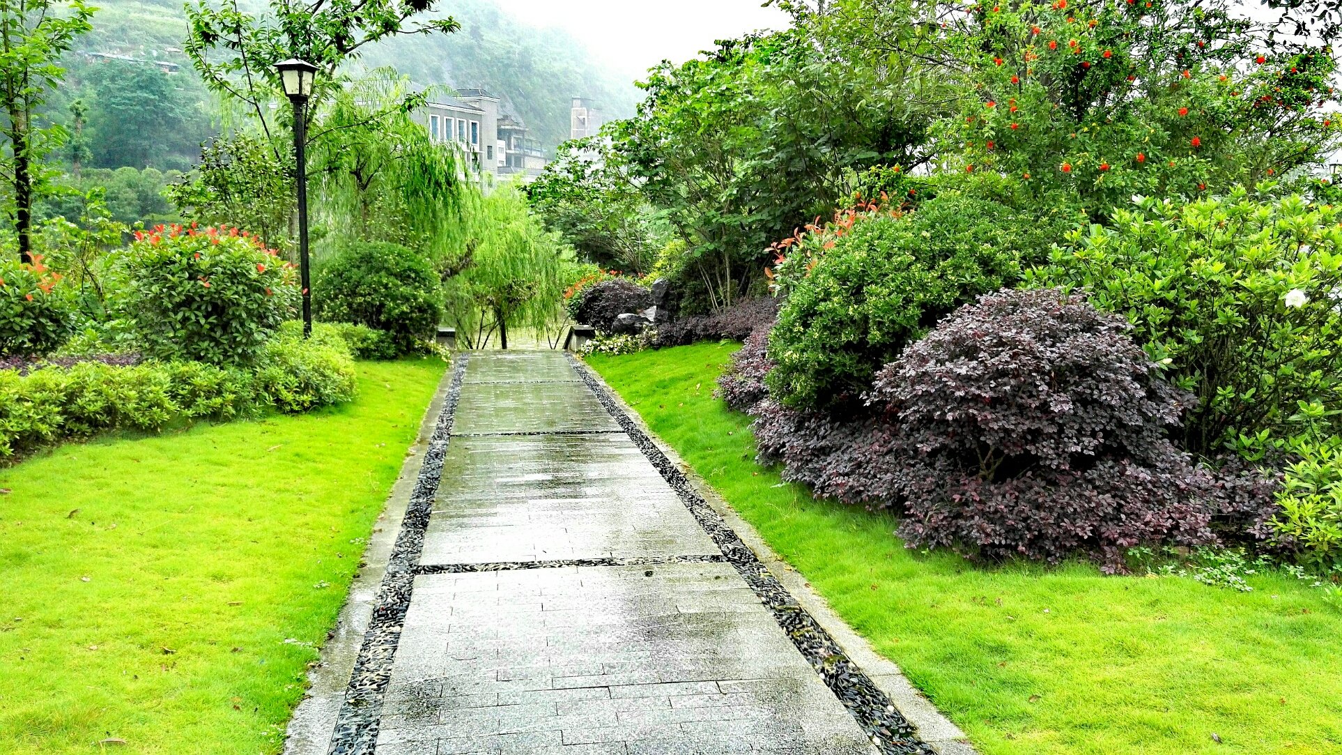 重庆夏天最好的避暑胜地有哪些,重庆适合避暑的地方有哪些