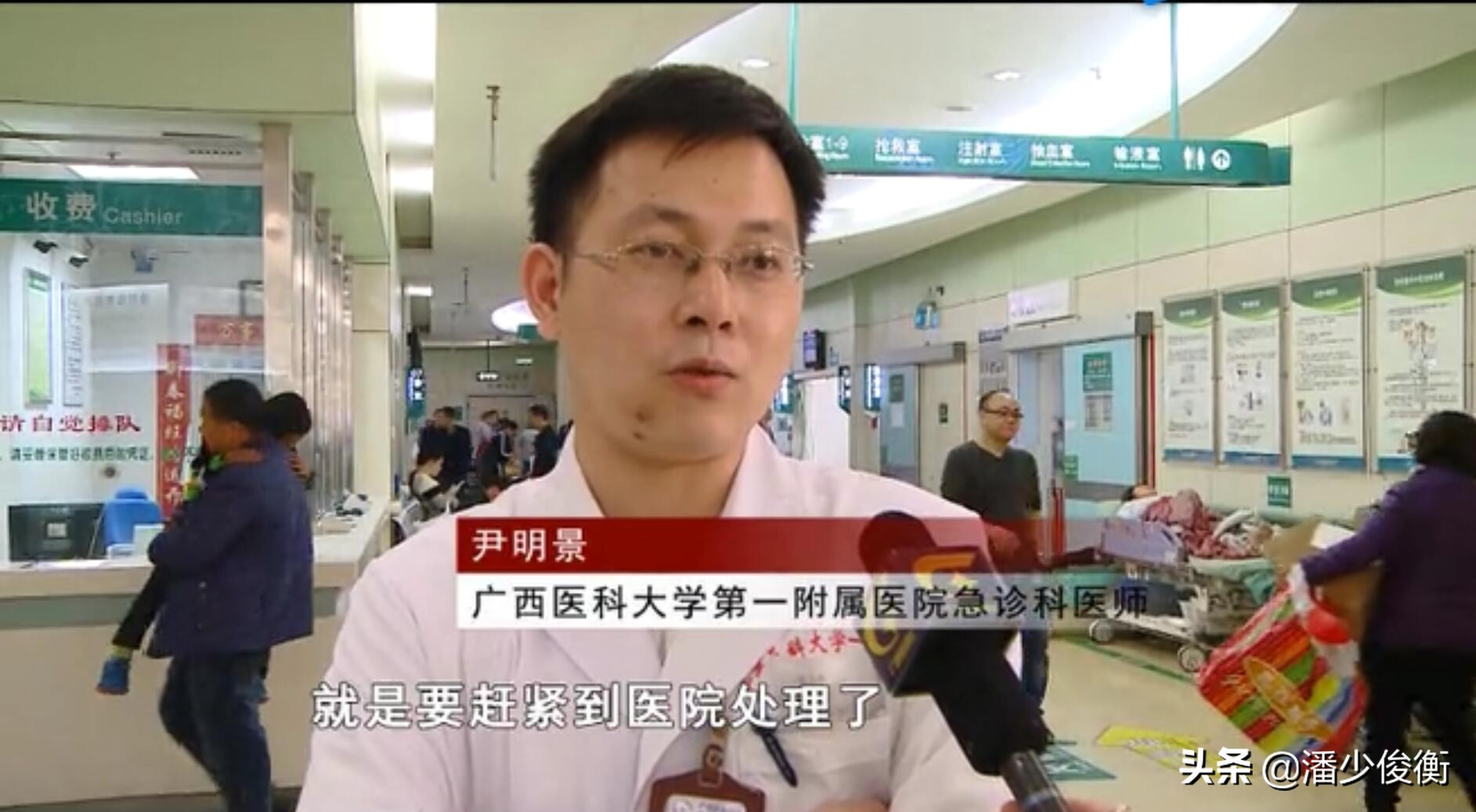 红火蚁被咬后会有什么情况,危险物种入侵红蚁