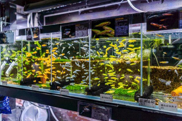 8号车库团购优惠,10号车库优惠团购