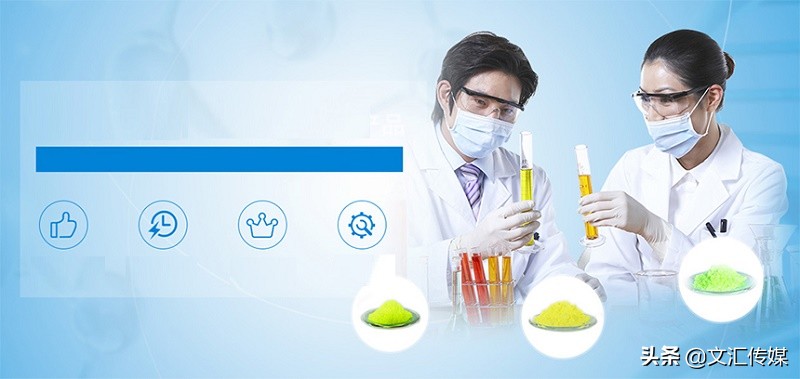 网站页面设计需要学什么,网站设计忽略了怎么设置回来