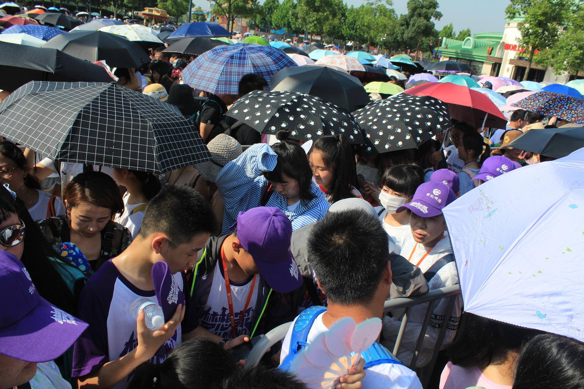 上海迪士尼翻包事件公关结论,上海迪士尼翻包风波背后