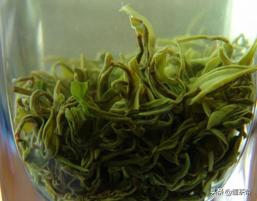 祁门毛峰与黄山毛峰有什么区别,真正的黄山毛峰是什么样的