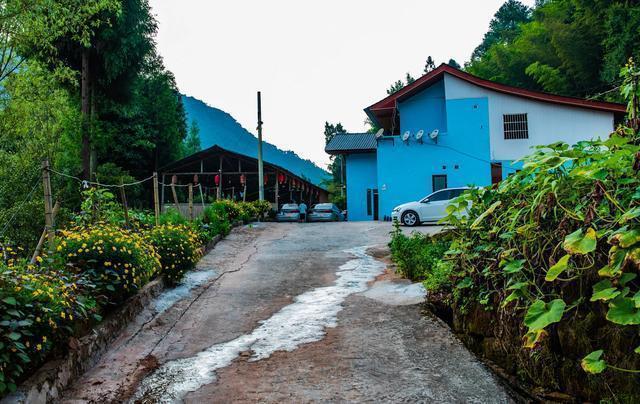 半个重庆人的感受,重庆游玩四面山到哪里玩