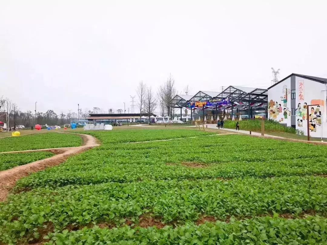 邹迎晞:“田园+乐园+家园”是田园综合体全产业链设计的实践之路