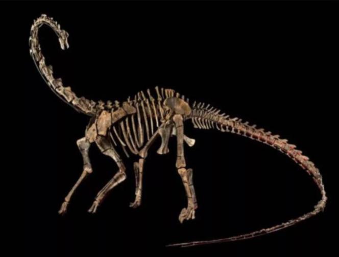 中国龙和恐龙一样吗,中国传说中的龙是不是跟恐龙有关