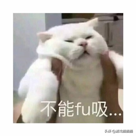 盘点吃鸡中的奇葩队友视频教学,如何回复吃鸡中遇到的奇葩队友