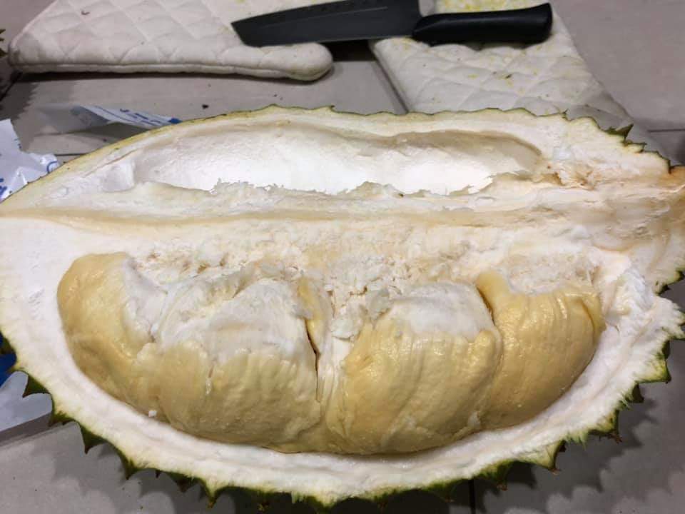 榴莲品种d13,泰国榴莲d197是什么品种