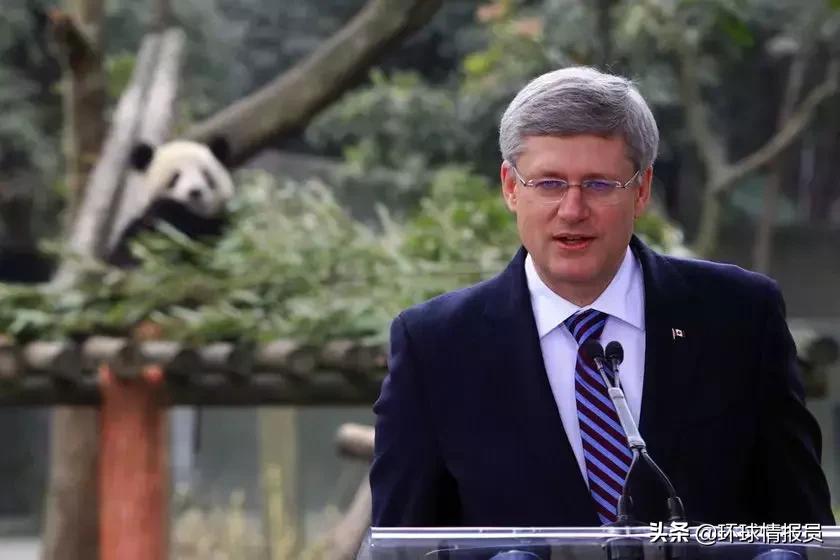 魁北克的主要语言,法语是加拿大的官方语言