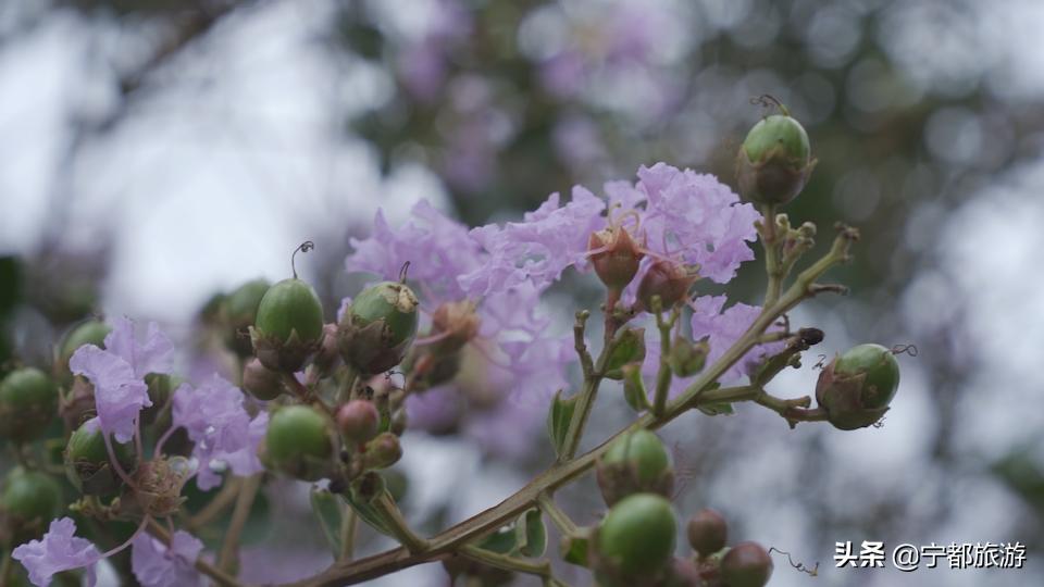 江西最值得爬的山,江西有几座山可以爬