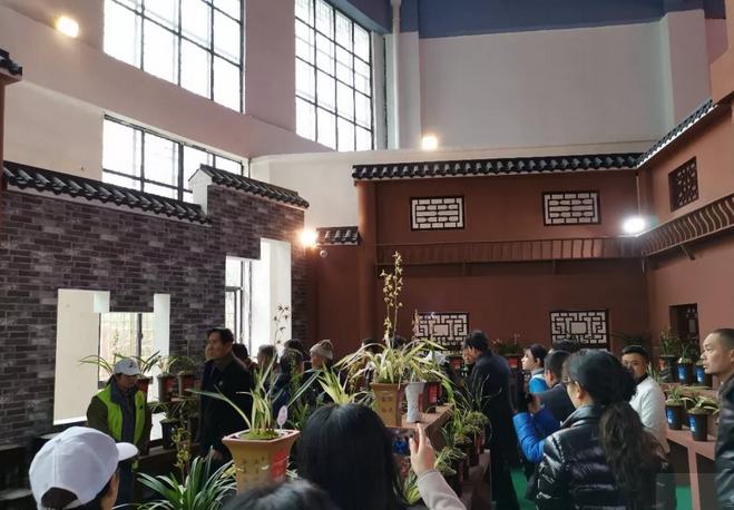 惠水第29届兰博会兰花获奖图片,惠水国际兰花展