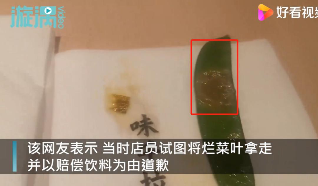 中国网红鼻祖市值,网红鼻祖dodolook现状