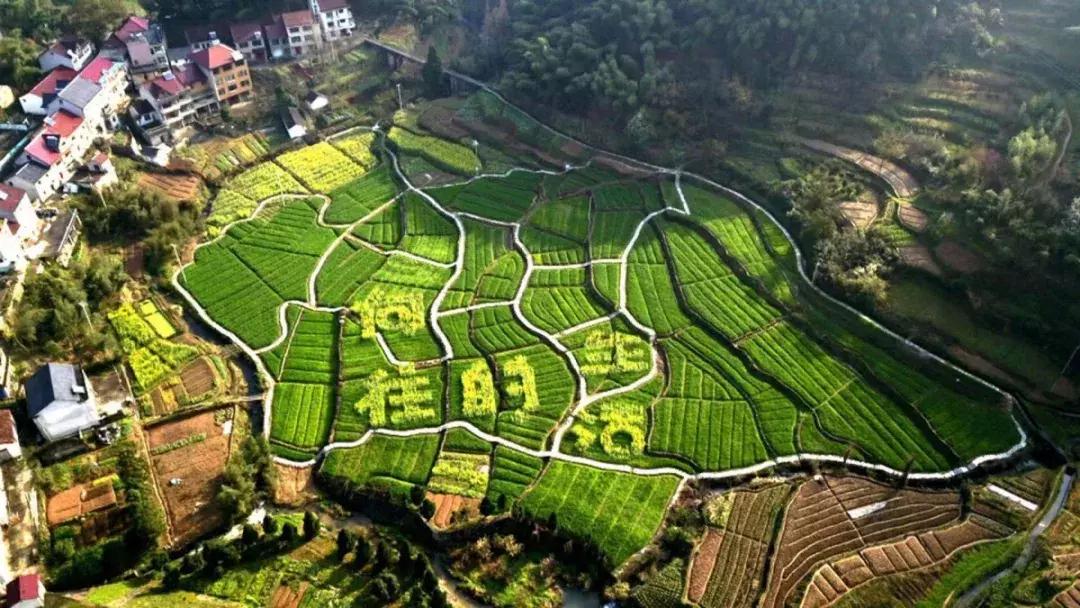 震撼!钱塘江畔出现巨型画作,有28个足球场这么大!