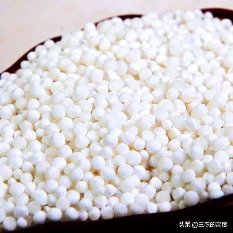 产米的是什么树,米树是什么植物