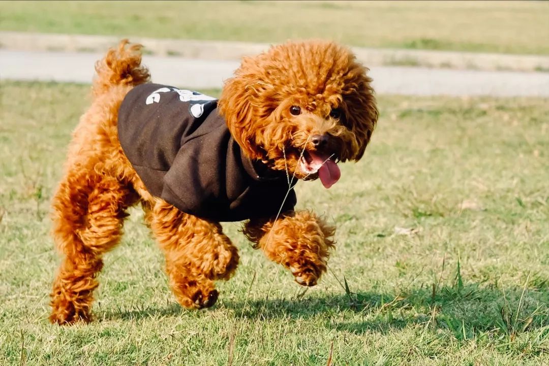 宝安西部中心,宝安中心