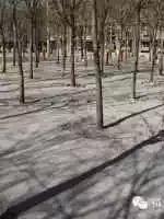 天津曙光里市场还有么,天津曙光里市场旧地址